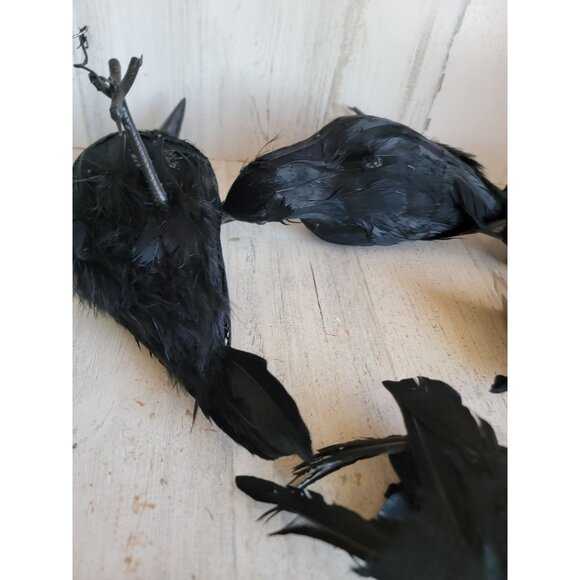 Halloween prop crow AS IS bird unique set home decor scary accessory realistic - Picture 11 of 15